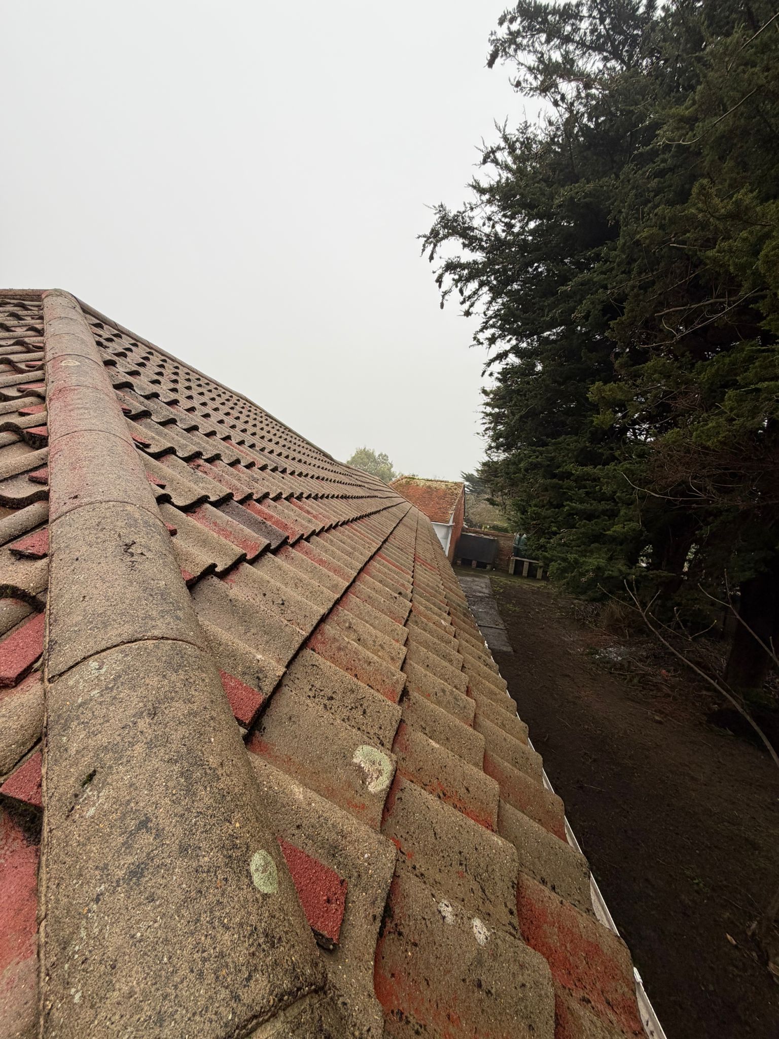 Roof Moss Removal - after cleaning