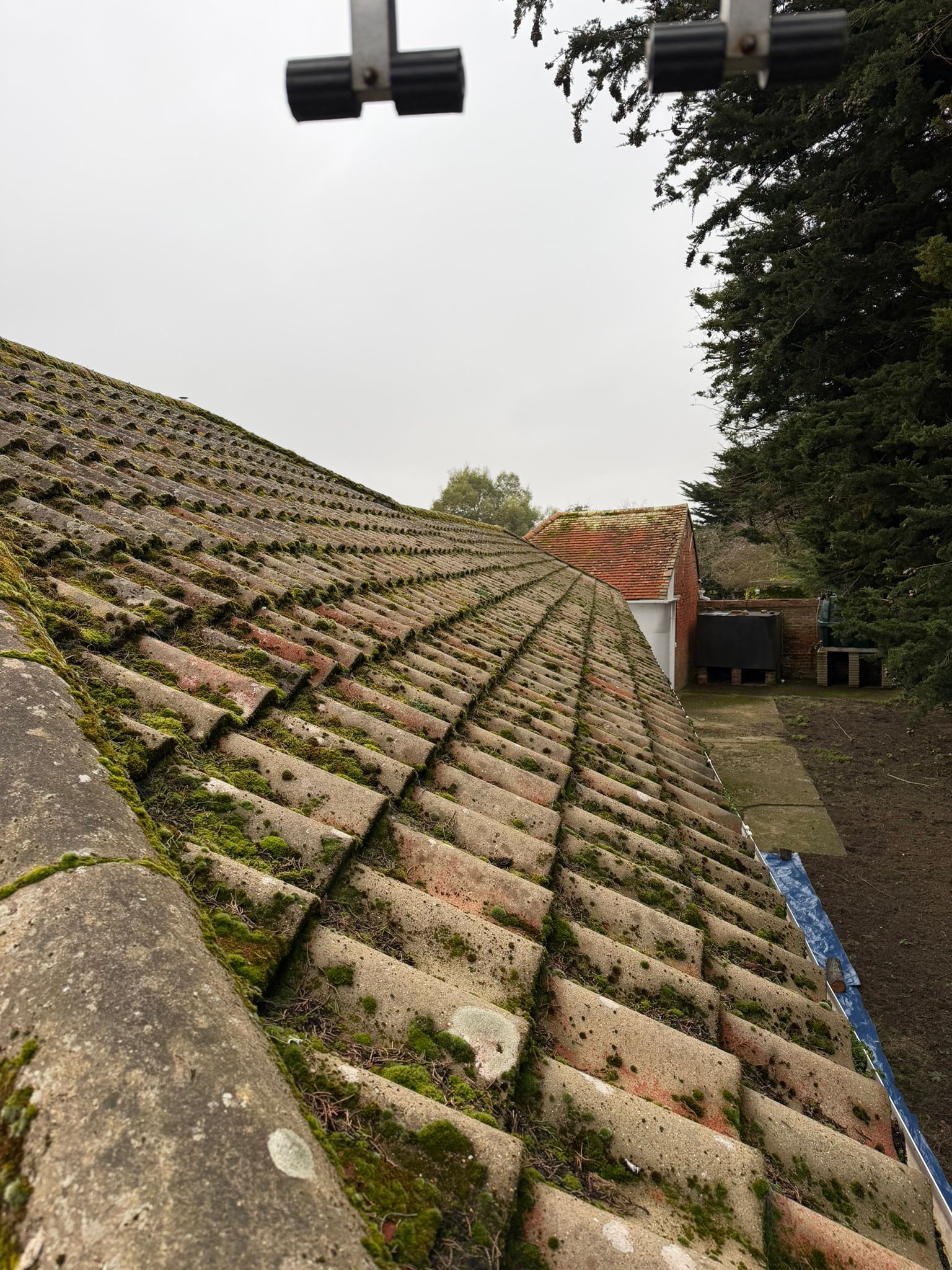 Roof Moss Removal - before cleaning